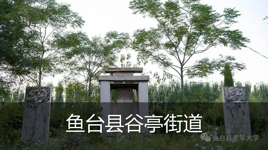 鱼台县谷亭街道